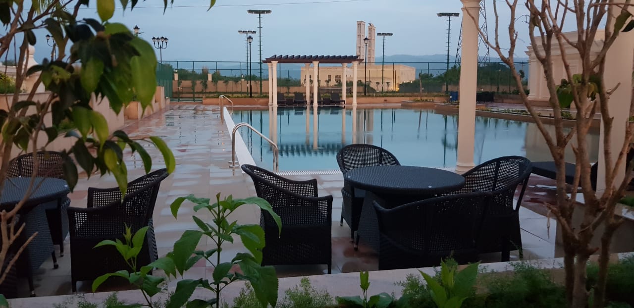 DLF pool view