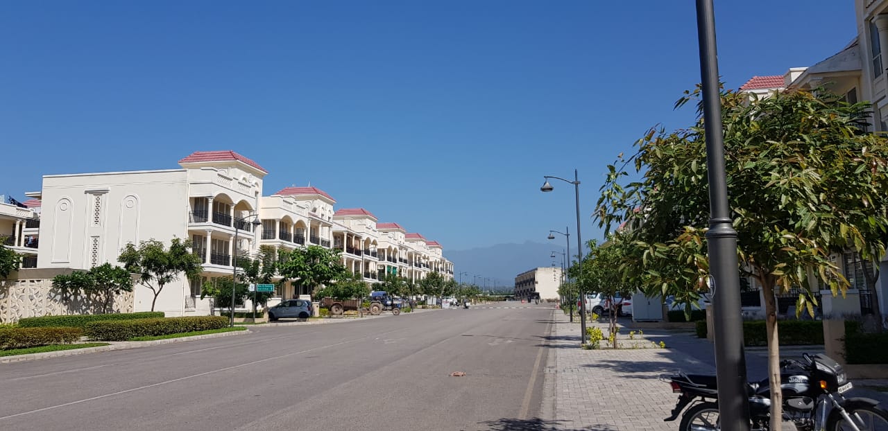 DLF street